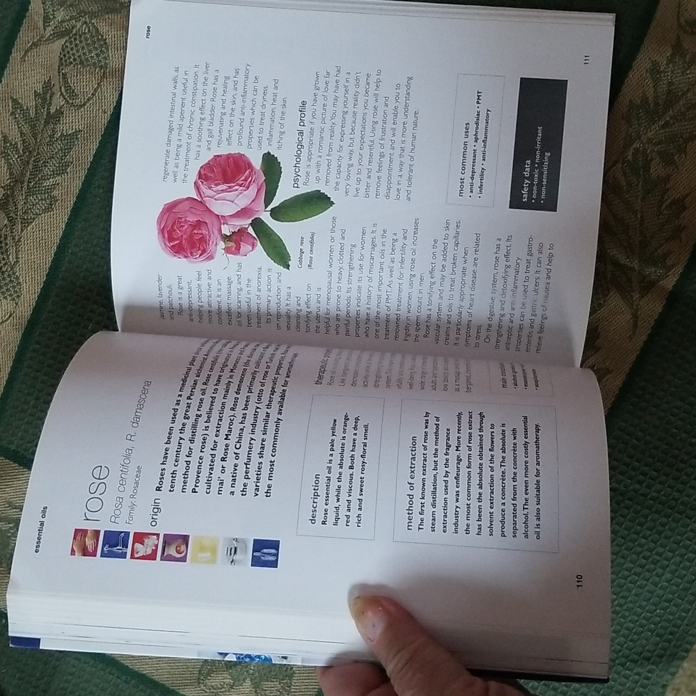 📗ESSENTIAL OILS BOOK - Picture 8 of 9